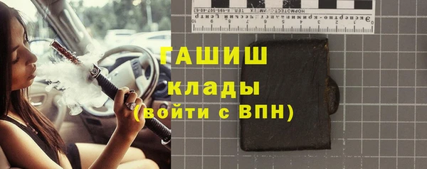 индика Елабуга