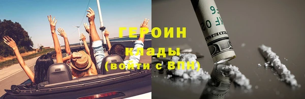 индика Елабуга