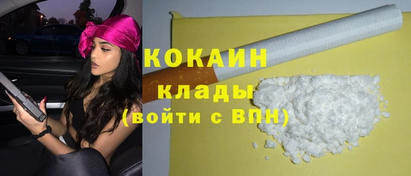 индика Елабуга