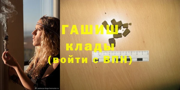 индика Елабуга