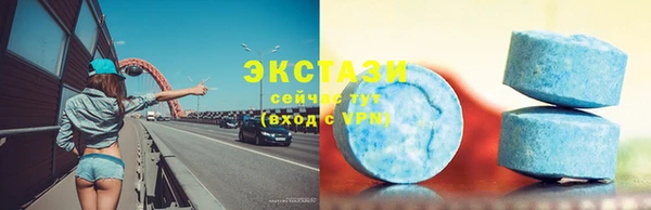 индика Елабуга