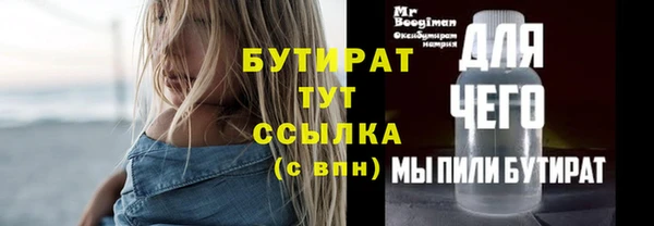 индика Елабуга