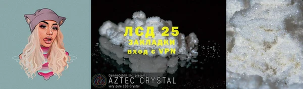 индика Елабуга