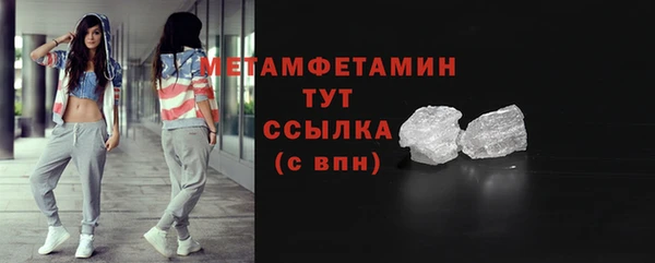 индика Елабуга