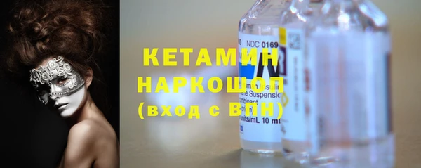 индика Елабуга