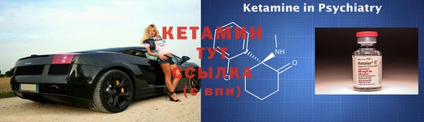 индика Елабуга