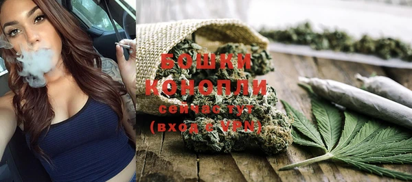 индика Елабуга