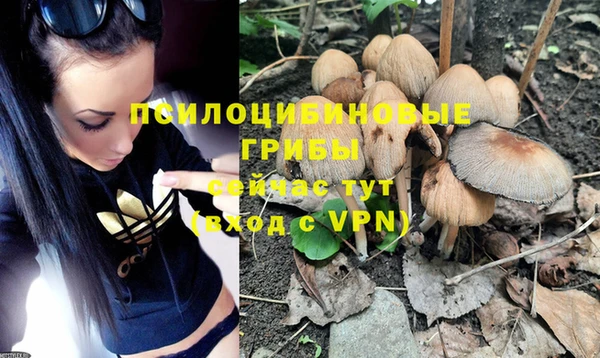индика Елабуга