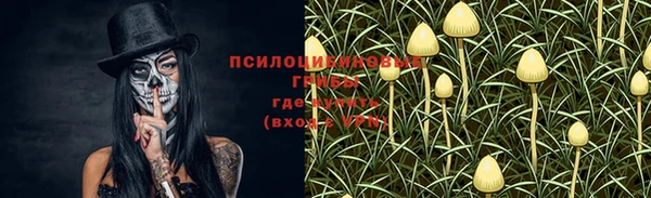 индика Елабуга