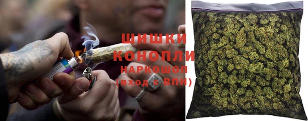 индика Елабуга