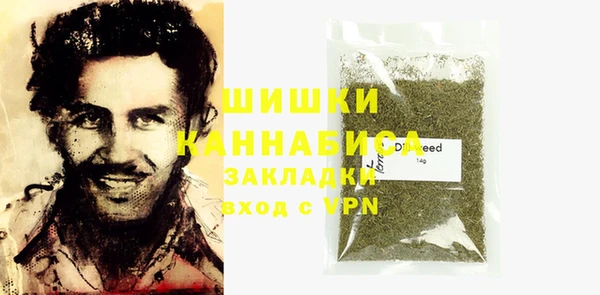 индика Елабуга