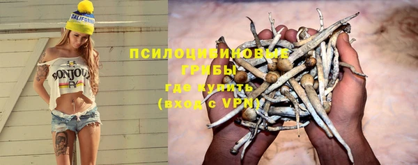 индика Елабуга