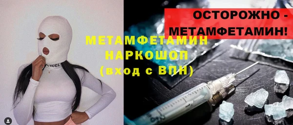 индика Елабуга