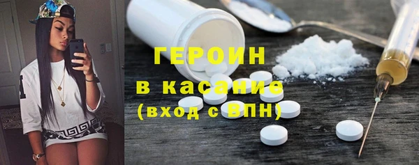индика Елабуга