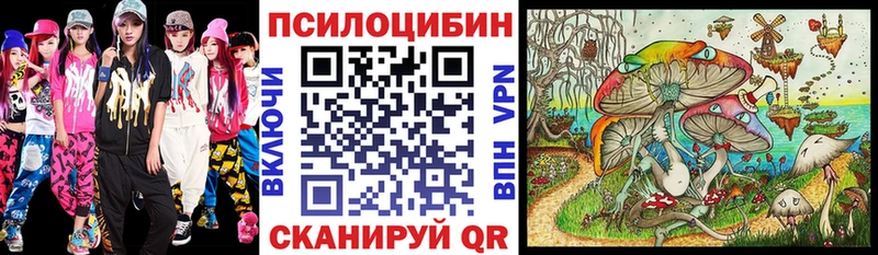 Галлюциногенные грибы мухоморы  дарнет шоп  Рубцовск 